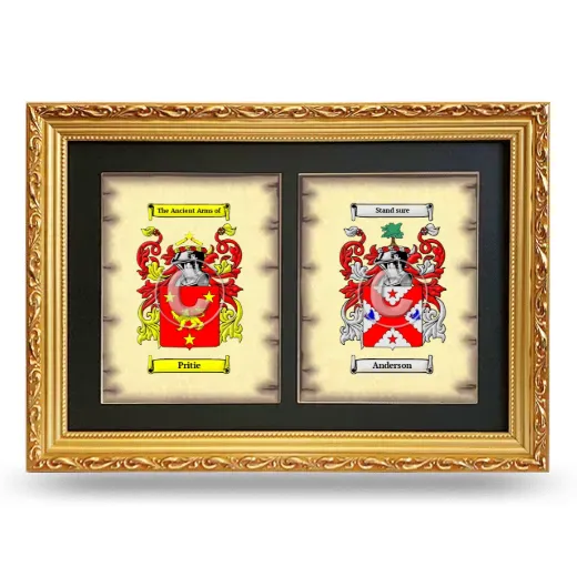 Double Coat of Arms Framed - Gold