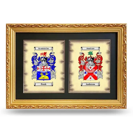 Double Coat of Arms Framed - Gold