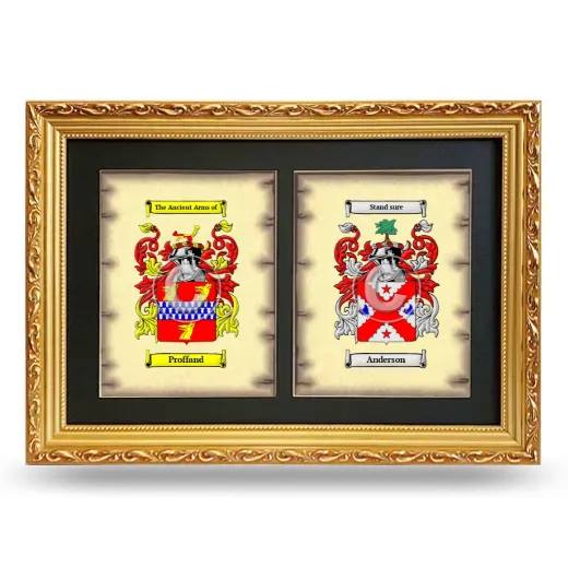 Double Coat of Arms Framed - Gold