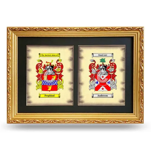 Double Coat of Arms Framed - Gold