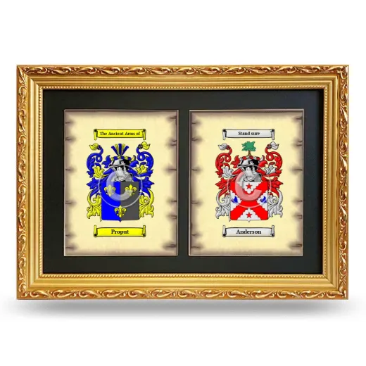 Double Coat of Arms Framed - Gold