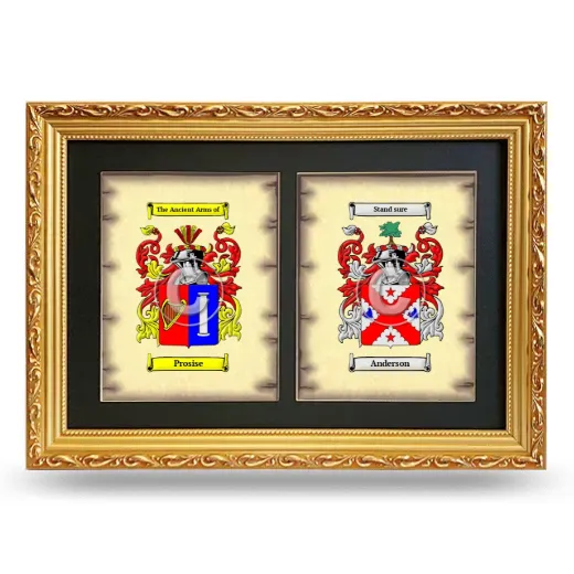 Double Coat of Arms Framed - Gold