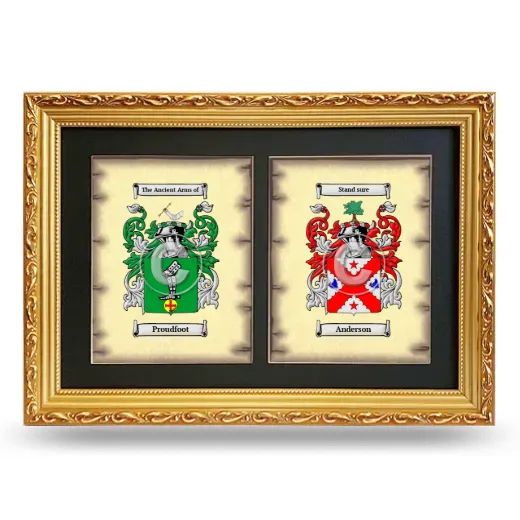 Double Coat of Arms Framed - Gold