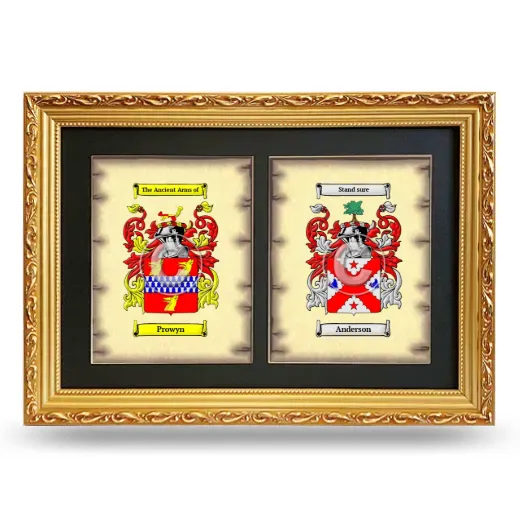 Double Coat of Arms Framed - Gold