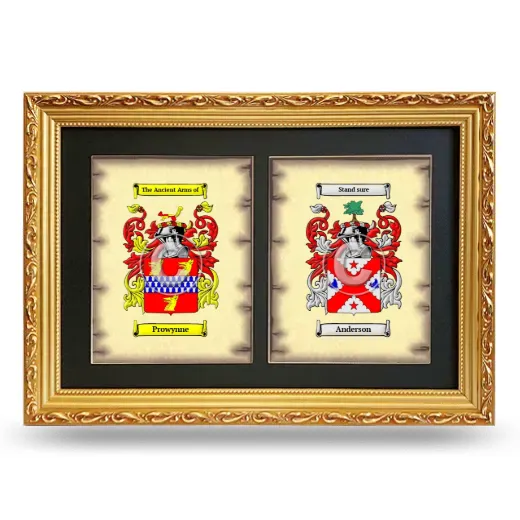 Double Coat of Arms Framed - Gold