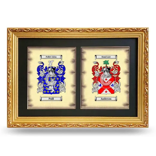 Double Coat of Arms Framed - Gold