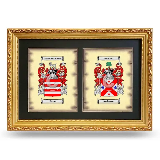 Double Coat of Arms Framed - Gold