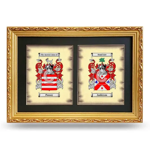 Double Coat of Arms Framed - Gold