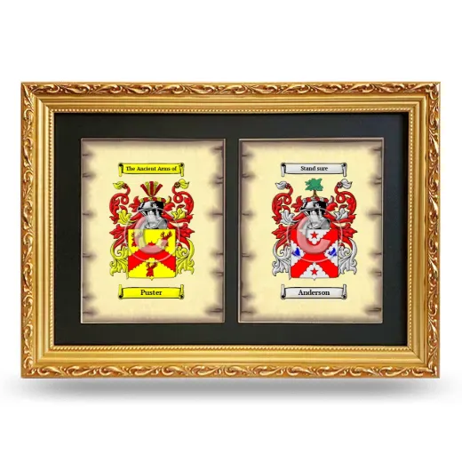 Double Coat of Arms Framed - Gold