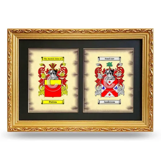 Double Coat of Arms Framed - Gold
