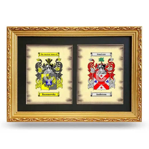 Double Coat of Arms Framed - Gold
