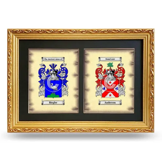 Double Coat of Arms Framed - Gold