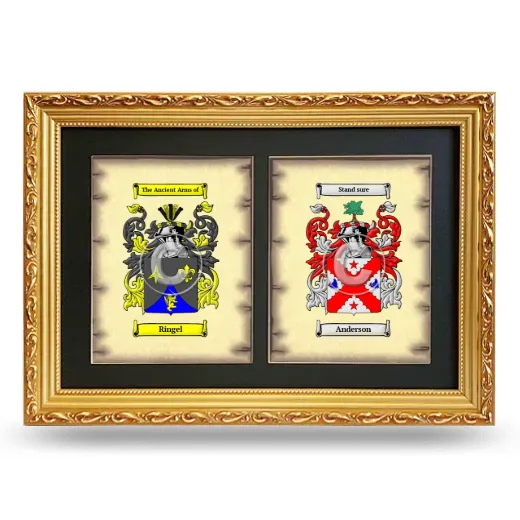 Double Coat of Arms Framed - Gold