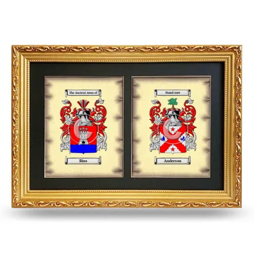 Double Coat of Arms Framed - Gold