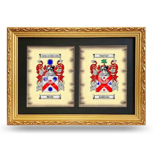 Double Coat of Arms Framed - Gold