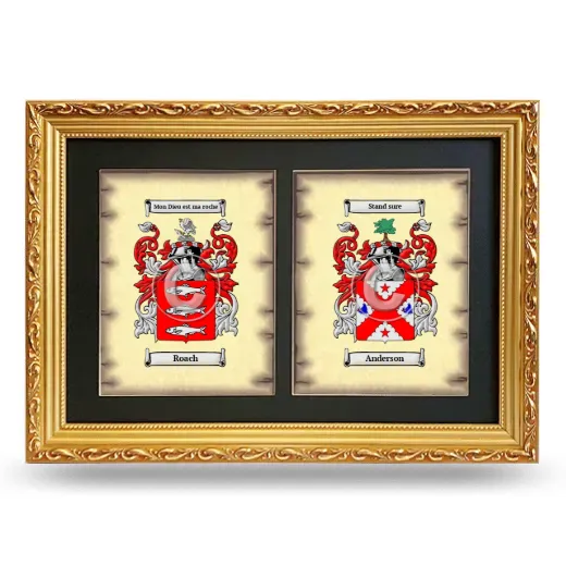 Double Coat of Arms Framed - Gold