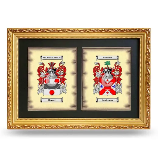 Double Coat of Arms Framed - Gold