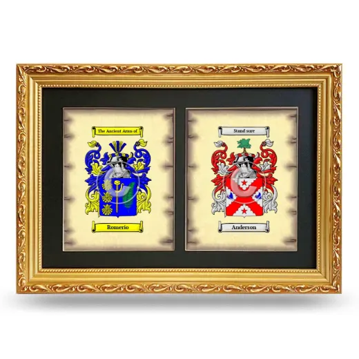 Double Coat of Arms Framed - Gold