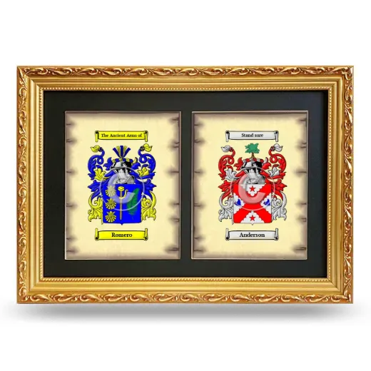 Double Coat of Arms Framed - Gold