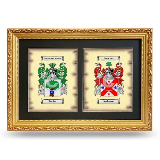 Double Coat of Arms Framed - Gold