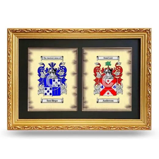Double Coat of Arms Framed - Gold