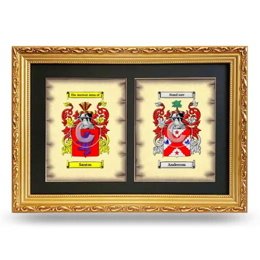 Double Coat of Arms Framed - Gold