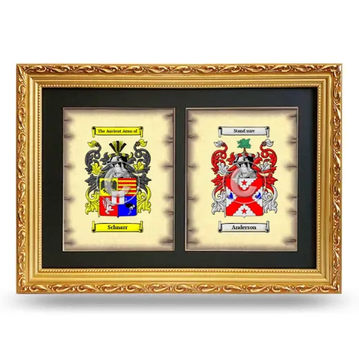 Double Coat of Arms Framed - Gold