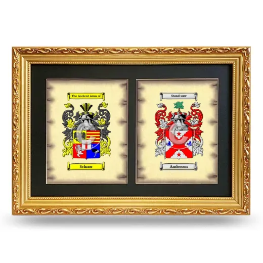 Double Coat of Arms Framed - Gold