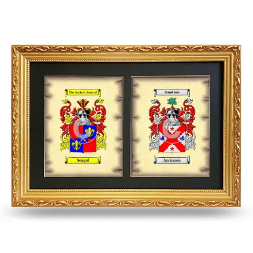 Double Coat of Arms Framed - Gold