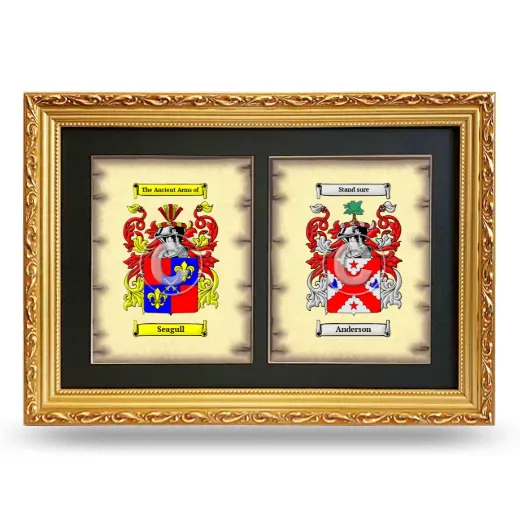 Double Coat of Arms Framed - Gold