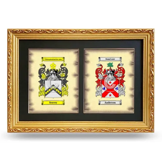 Double Coat of Arms Framed - Gold