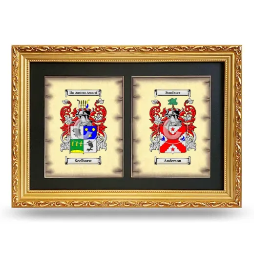 Double Coat of Arms Framed - Gold