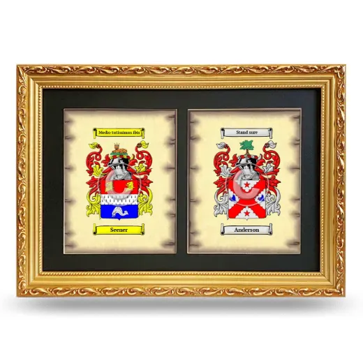 Double Coat of Arms Framed - Gold