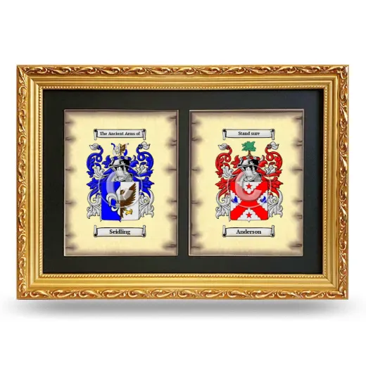 Double Coat of Arms Framed - Gold