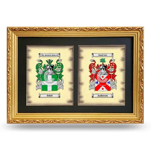 Double Coat of Arms Framed - Gold