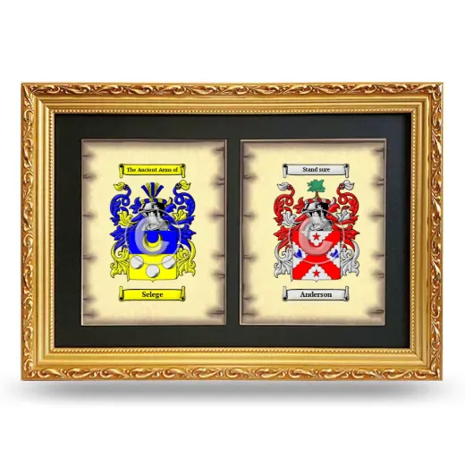 Double Coat of Arms Framed - Gold