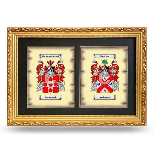 Double Coat of Arms Framed - Gold