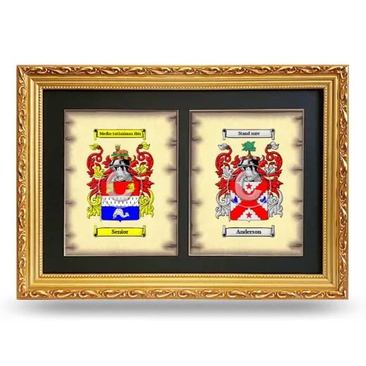 Double Coat of Arms Framed - Gold
