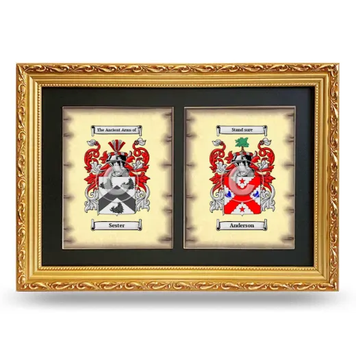 Double Coat of Arms Framed - Gold
