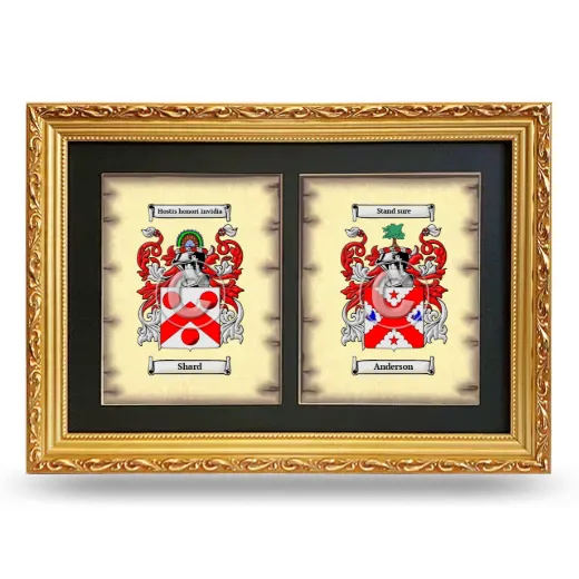 Double Coat of Arms Framed - Gold