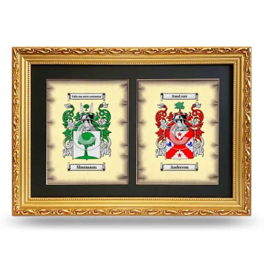 Double Coat of Arms Framed - Gold