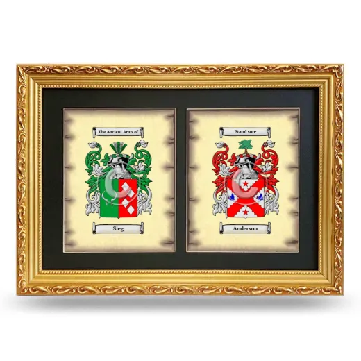 Double Coat of Arms Framed - Gold
