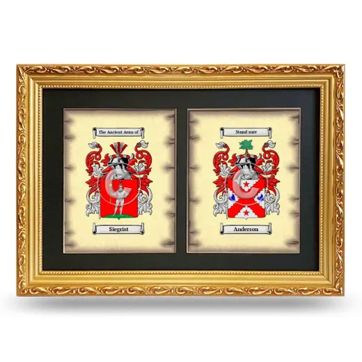 Double Coat of Arms Framed - Gold
