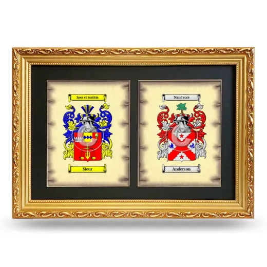 Double Coat of Arms Framed - Gold