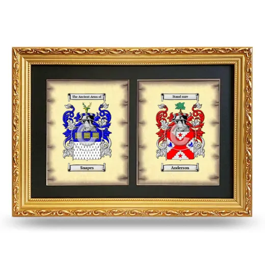 Double Coat of Arms Framed - Gold