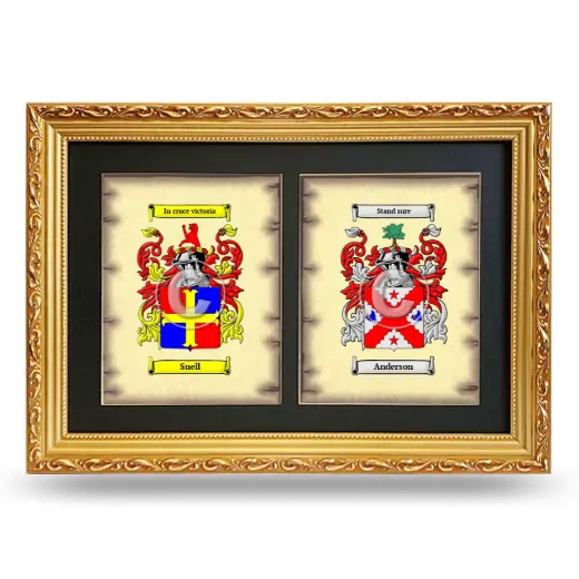 Double Coat of Arms Framed - Gold