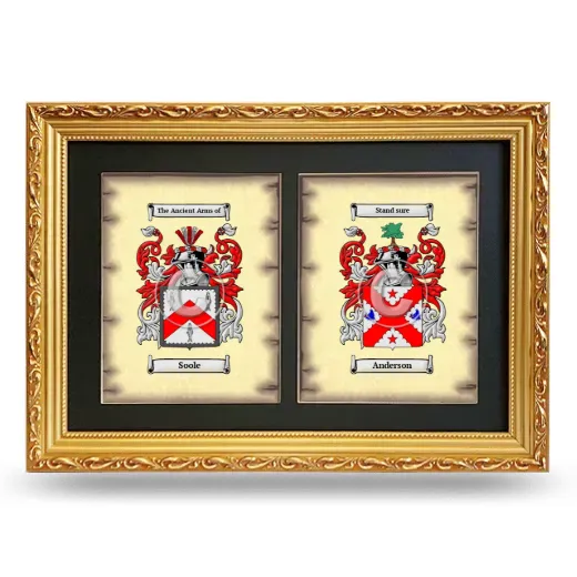 Double Coat of Arms Framed - Gold