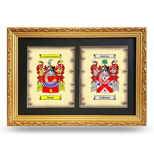Double Coat of Arms Framed - Gold