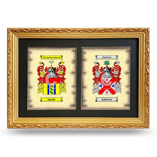 Double Coat of Arms Framed - Gold