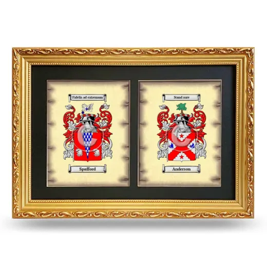 Double Coat of Arms Framed - Gold